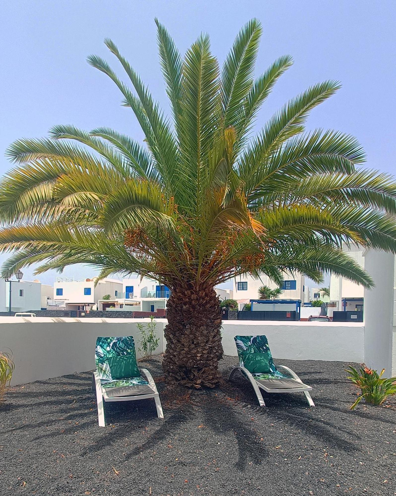 Lovely Casa Felicidad, Swimming Pool, Wifi X Private Garden Playa Blanca (Lanzarote) Exterior foto